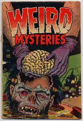 Weird Mysteries #5